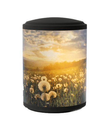 Naturstoffurne mit Motiv von Pusteblumen im Abendlicht